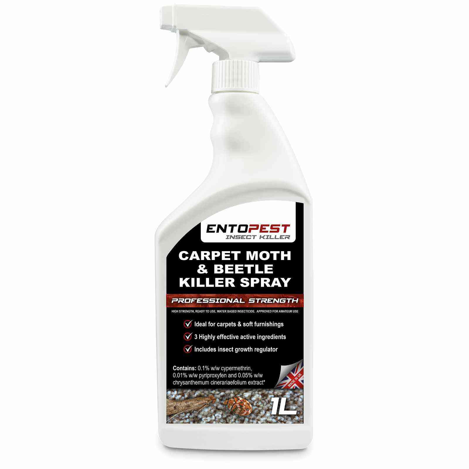 Brown House Moth Treatment - Moth Removal