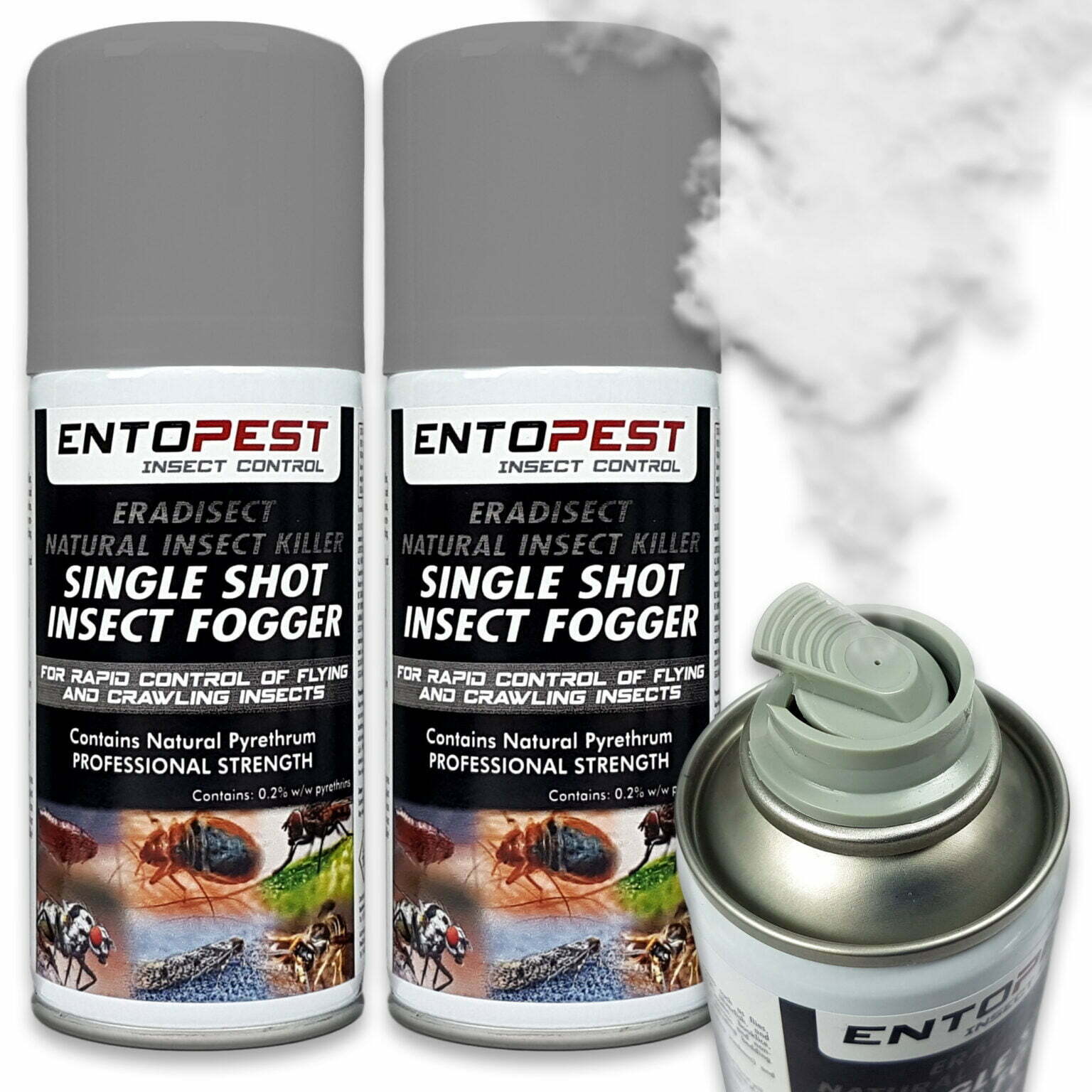 Insecticidal Void Smoke & Aerosol Treatments for Moth Control Moth Removal