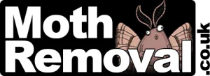 Moth Removal - Prevention & Control Products to Stop Moths