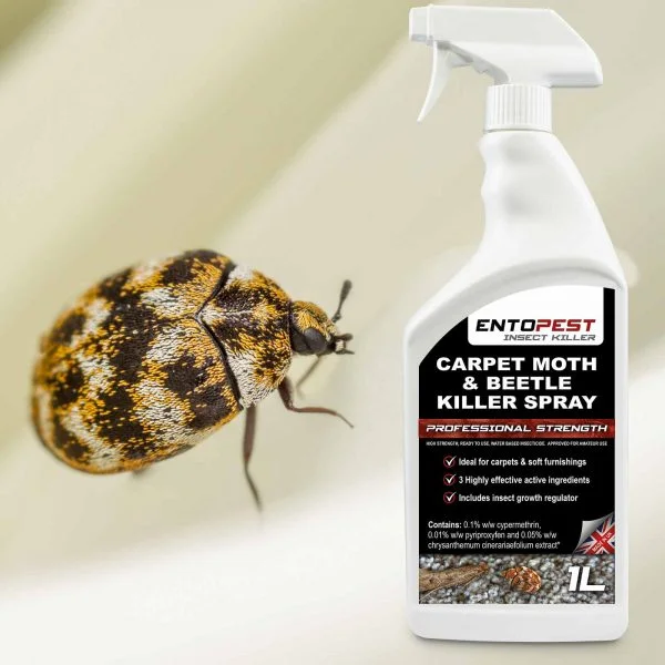 Chrysanthemum Clothes & Carpet Moth Killer Spray