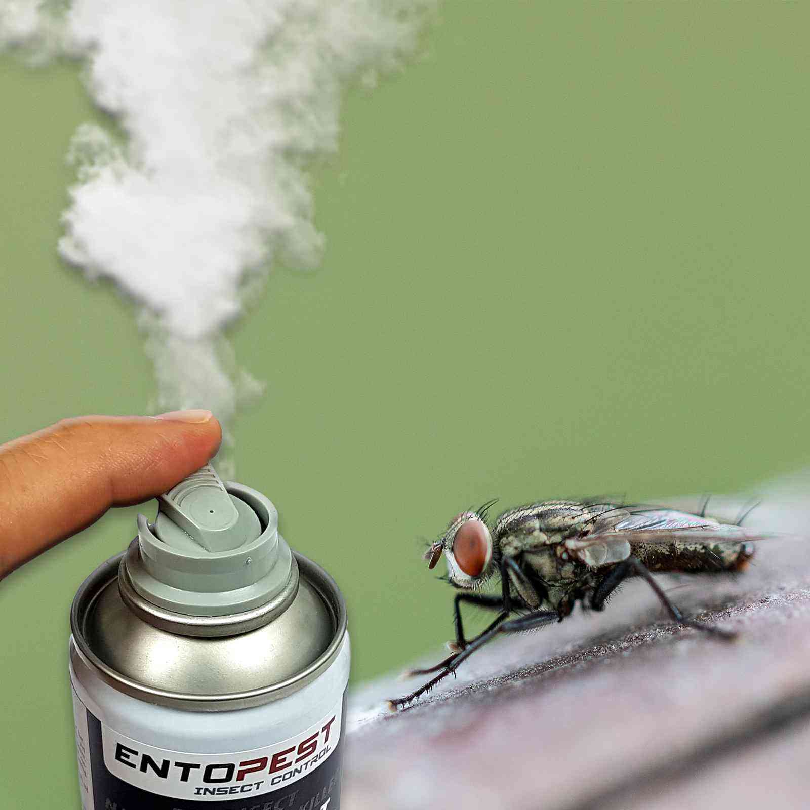 1 Shot Insect Entopest Insect Killer Aerosol Fogger 150ml – Moth Removal